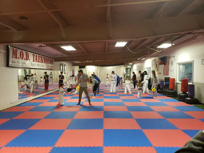 Mod Taekwondo Elite Picture 4