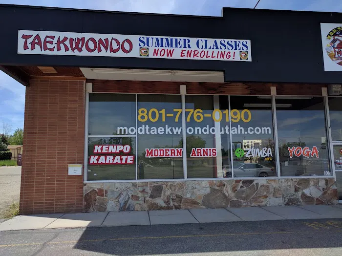 Mod Taekwondo Elite Picture 6