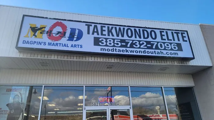 Mod Taekwondo Elite Picture 10