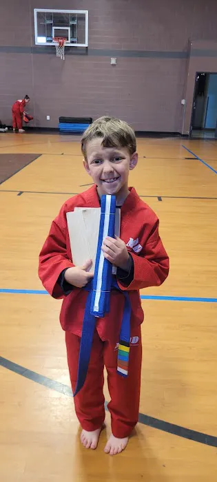 Mod Taekwondo Elite Picture 3