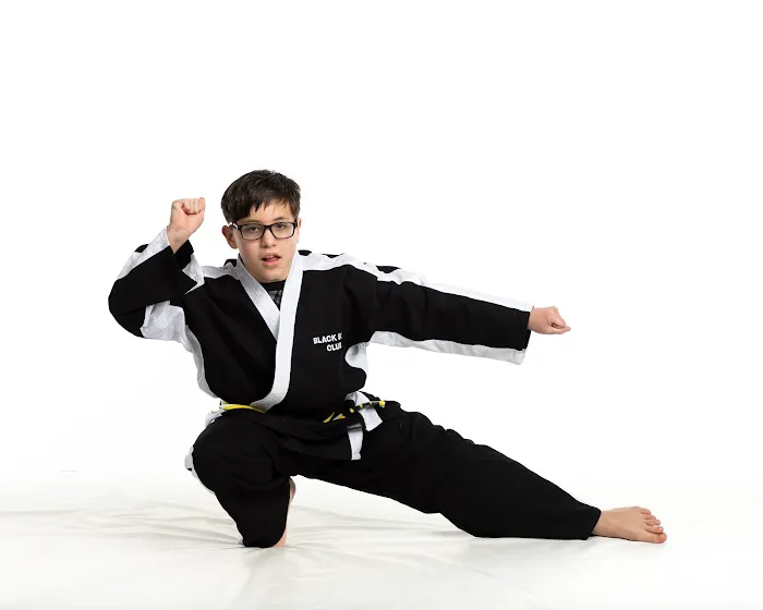 Championship Martial Arts Picture 4