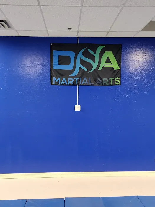 DNA Martial Arts Picture 2
