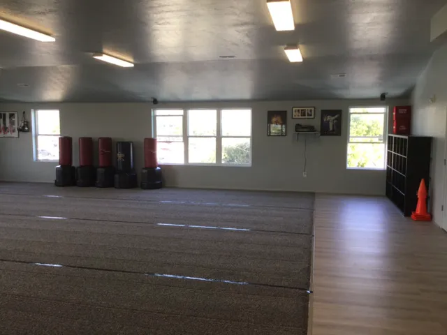 USA Karate Picture 1
