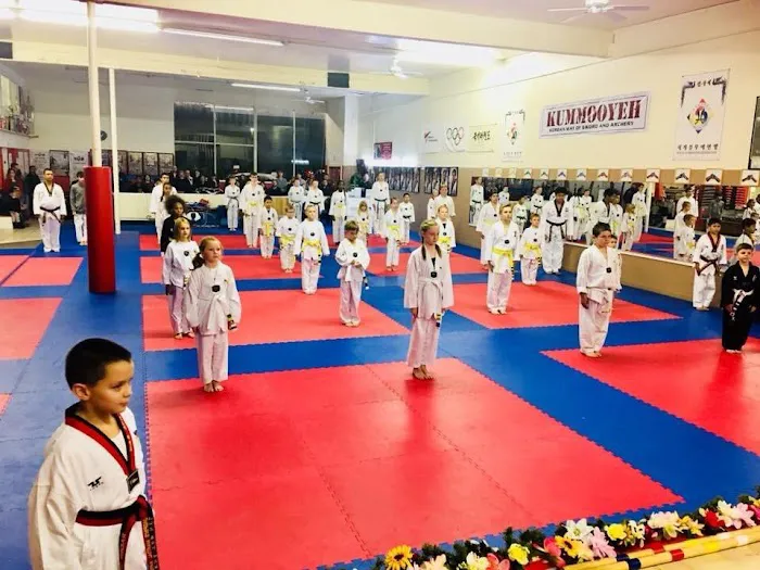M.O.D. Taekwondo Elite Dagpin's Martial Arts Picture 3