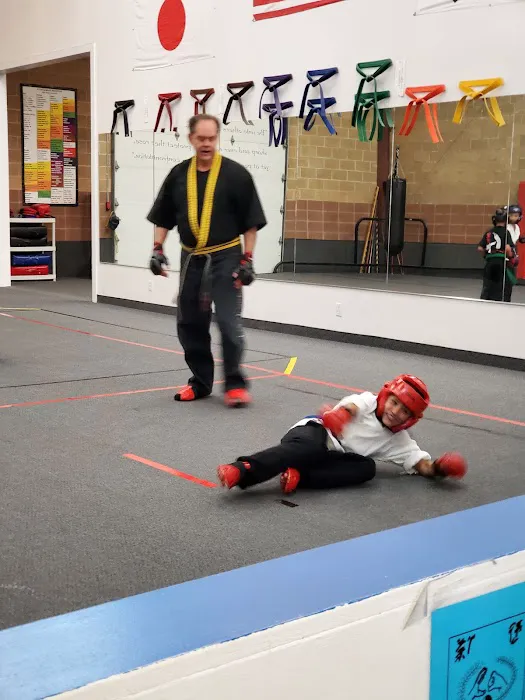 Utah Karate Institute Picture 4