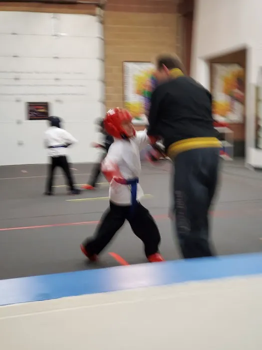 Utah Karate Institute Picture 6