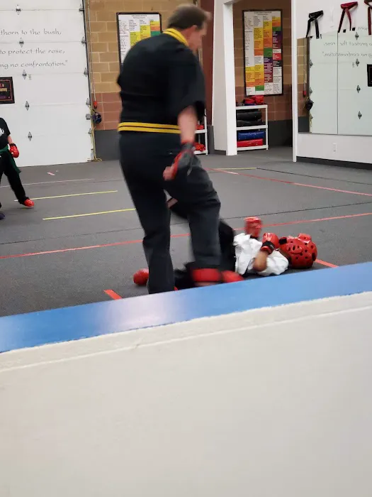 Utah Karate Institute Picture 1