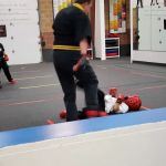 Utah Karate Institute