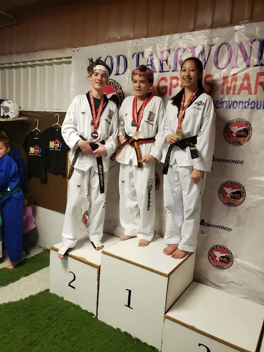 M.O.D. Taekwondo Dagpin's Martial Arts Picture 3
