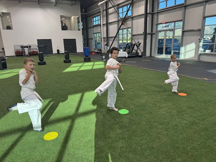 Rising Phoenix Martial Arts, Unincorporated Picture 9