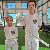 Rising Phoenix Martial Arts, Unincorporated ico