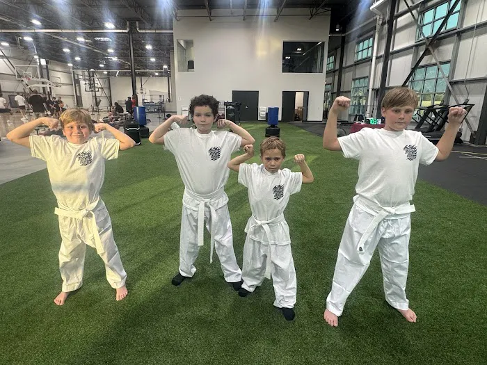 Rising Phoenix Martial Arts, Unincorporated Picture 6