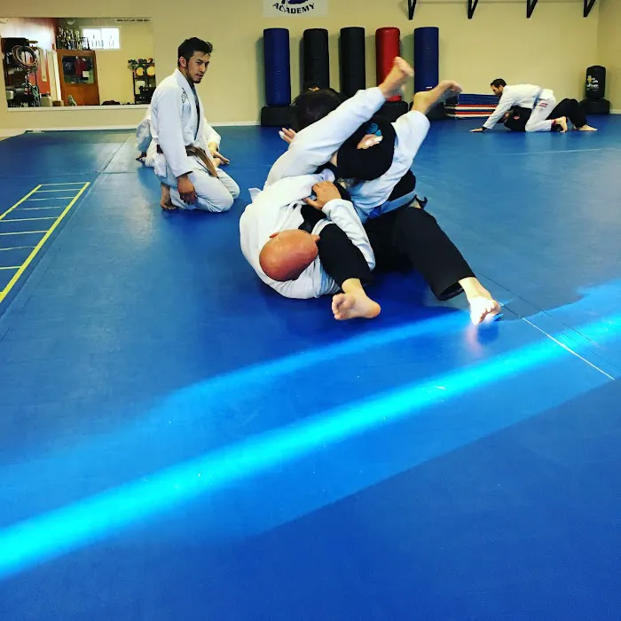 Gracie Technics Jiu-Jitsu Academy Picture 2