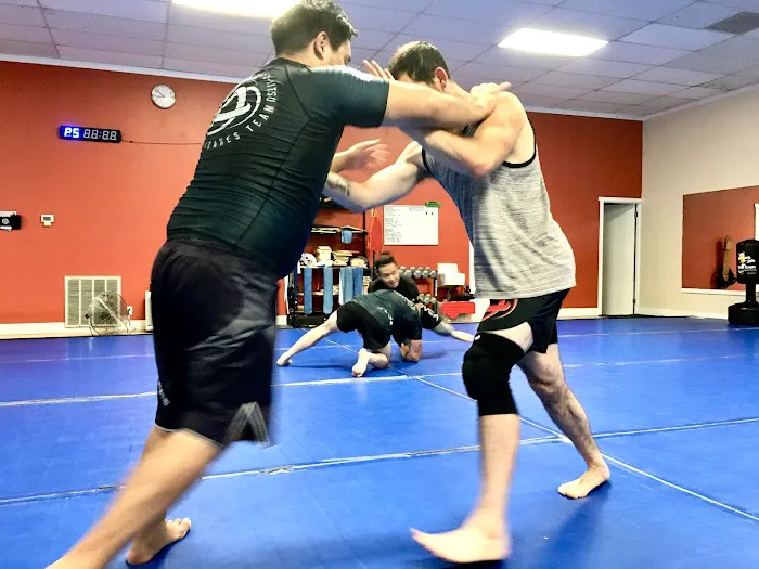 Gracie Technics Jiu-Jitsu Academy Picture 5