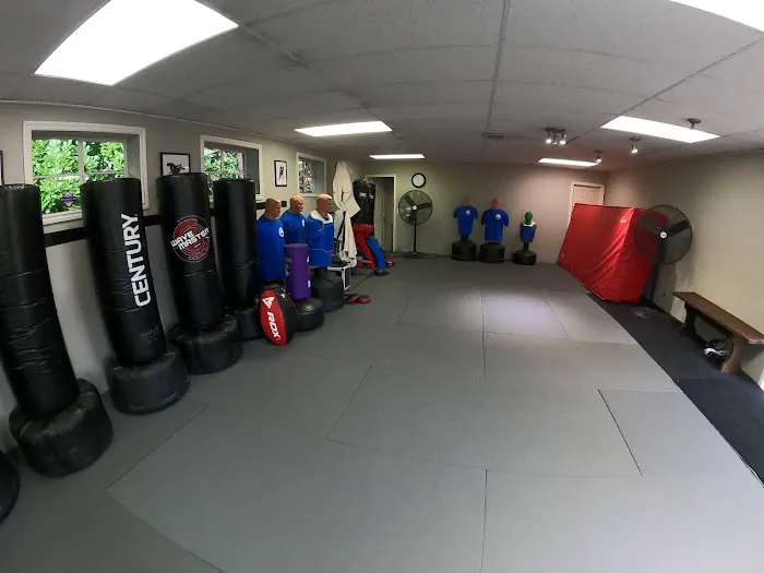 Portland Academy of Self Defense Picture 4
