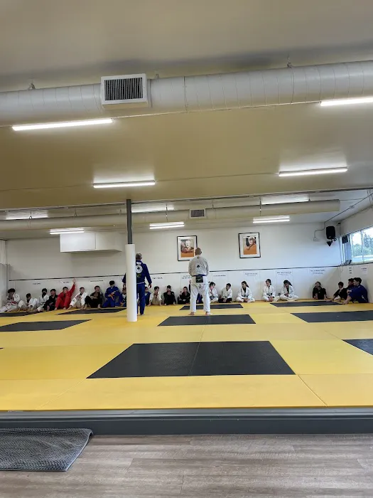 Five Rings Jiu Jitsu Picture 8