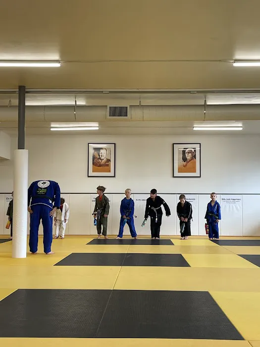 Five Rings Jiu Jitsu Picture 4