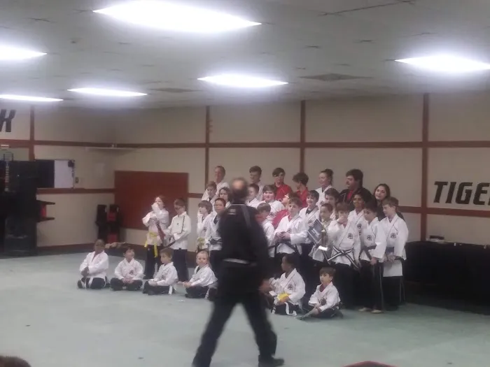 Tiger Rock Martial Arts of Gulfport Picture 2