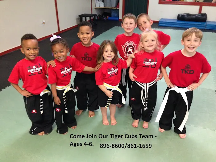Tiger Rock Martial Arts of Gulfport Picture 8