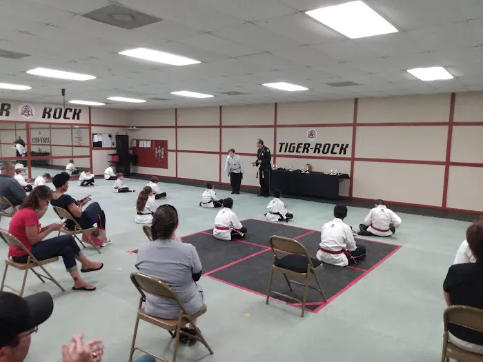 Tiger Rock Martial Arts of Gulfport Picture 4