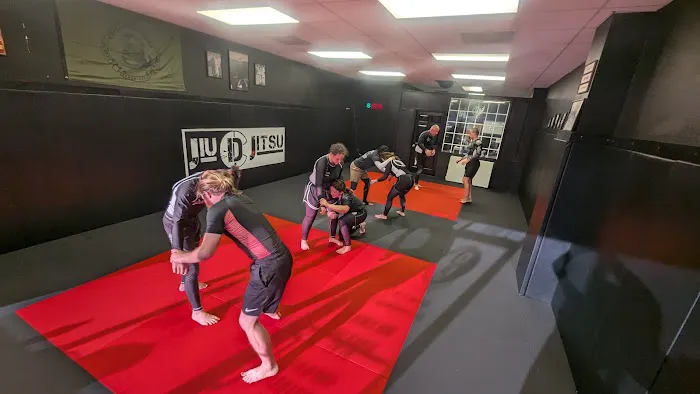 Cameron Davis Jiu-Jitsu Picture 4
