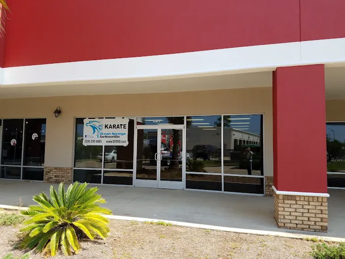 Ocean Springs Taekwondo Picture 9