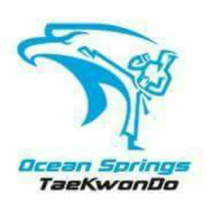 Ocean Springs Taekwondo Picture 1