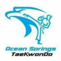 Ocean Springs Taekwondo ico