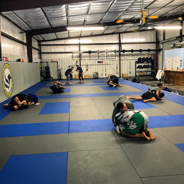 Leonardo Delgado Jiu-Jitsu Academy Picture 8