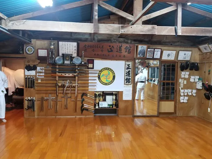 Okinawa Kenpo Mushin Ryu Picture 7