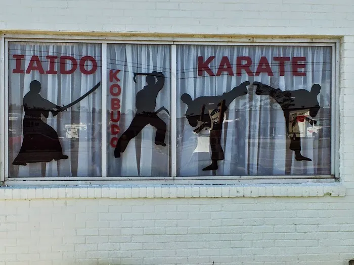 Okinawa Kenpo Mushin Ryu Picture 8