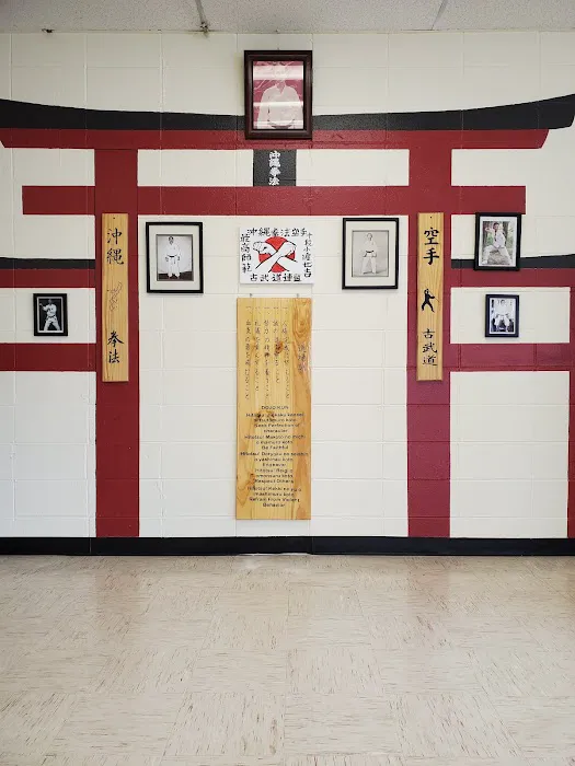 Okinawa Kenpo Mushin Ryu Picture 4