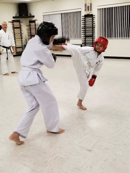 Okinawa Kenpo Mushin Ryu Picture 5