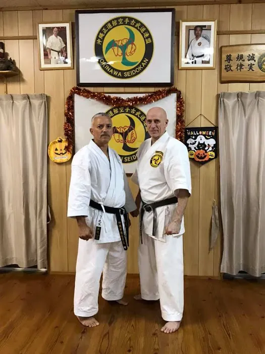 Okinawa Kenpo Mushin Ryu Picture 1