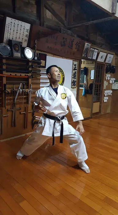 Okinawa Kenpo Mushin Ryu Picture 3