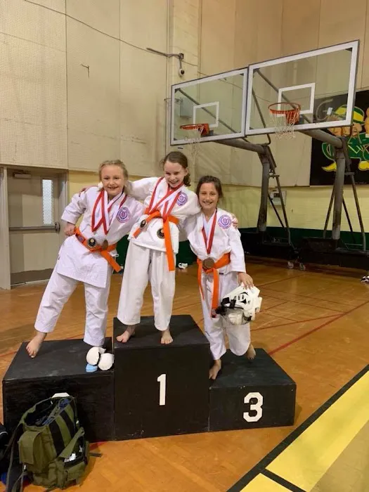 Pruitt's Martial Arts, LLC Picture 5