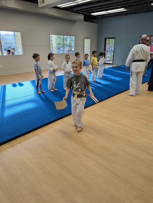 Premier Taekwondo Center Picture 1