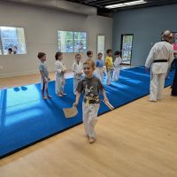 Premier Taekwondo Center ico