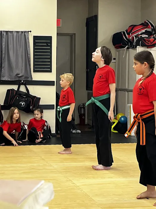 Northshore Taekwondo Picture 2
