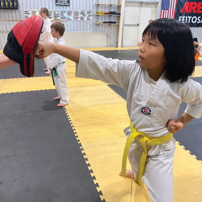 United States Taekwondo Picture 3