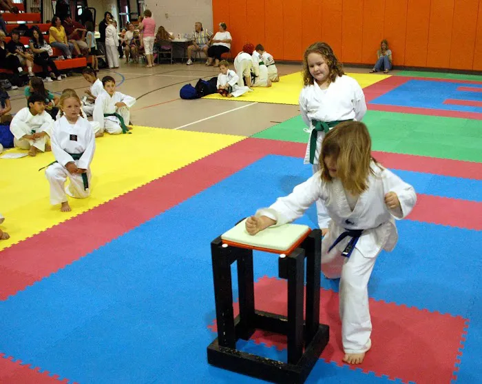 United States Taekwondo Picture 10