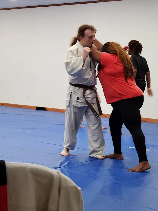 Heiwashinkai Jujutsu Picture 3