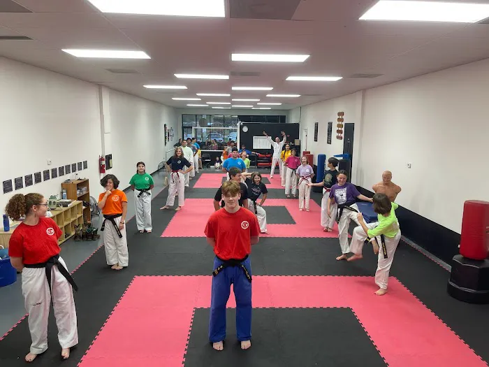 Inner Strength Taekwondo LLC Picture 1