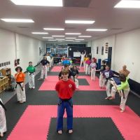 Inner Strength Taekwondo LLC ico