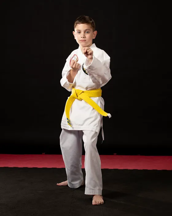 Inner Strength Taekwondo LLC Picture 7