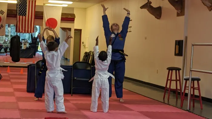 Inner Strength Taekwondo LLC Picture 3