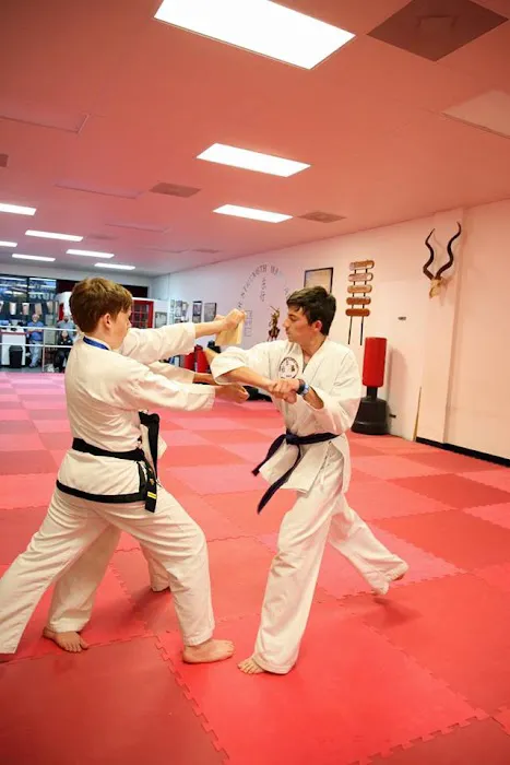 Inner Strength Taekwondo LLC Picture 5
