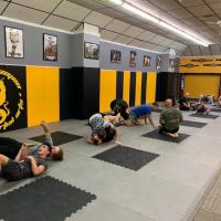 Gold Dragon Mixed Martial Arts ico