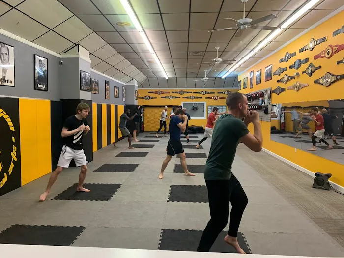 Gold Dragon Mixed Martial Arts Picture 5