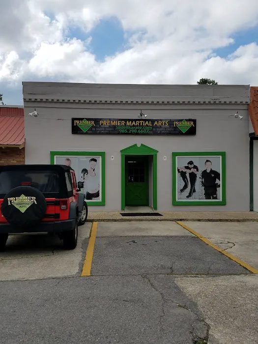 Premier Martial Arts Slidell Picture 3